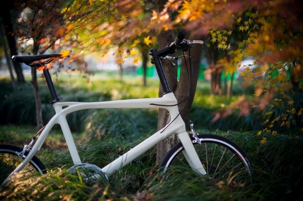 2015年 ，自行車(chē)2.0時(shí)代