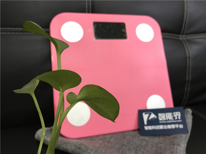 您身邊的體脂測(cè)量器—云麥mini體脂稱