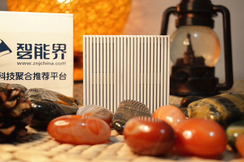 DSC_0037_副本.jpg
