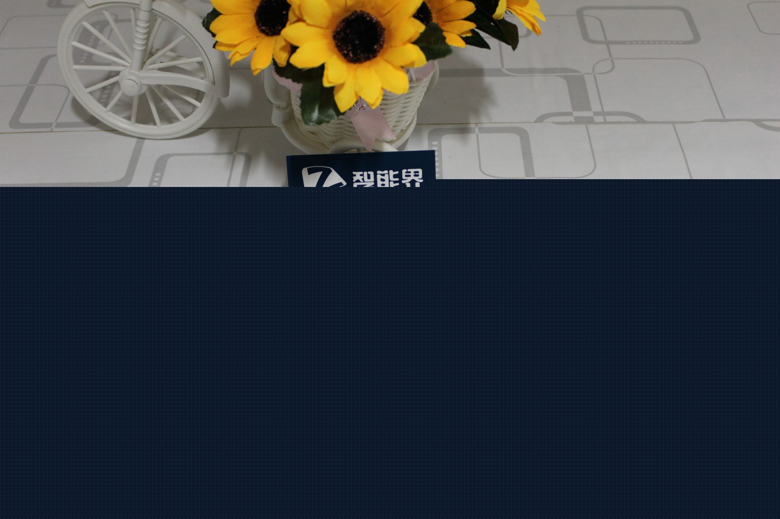 1484578014341543.jpg