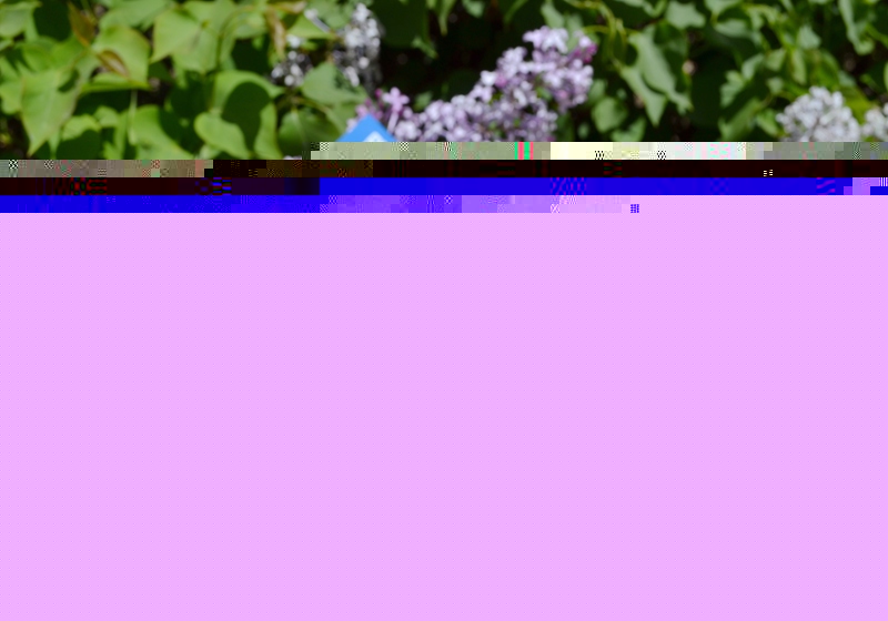 1525752126957414.jpg