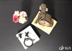 IMG_4911.GIF