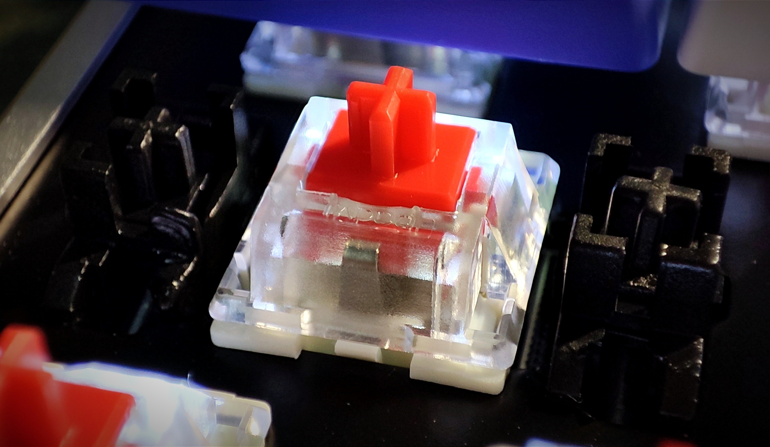 1664174747296821.jpg